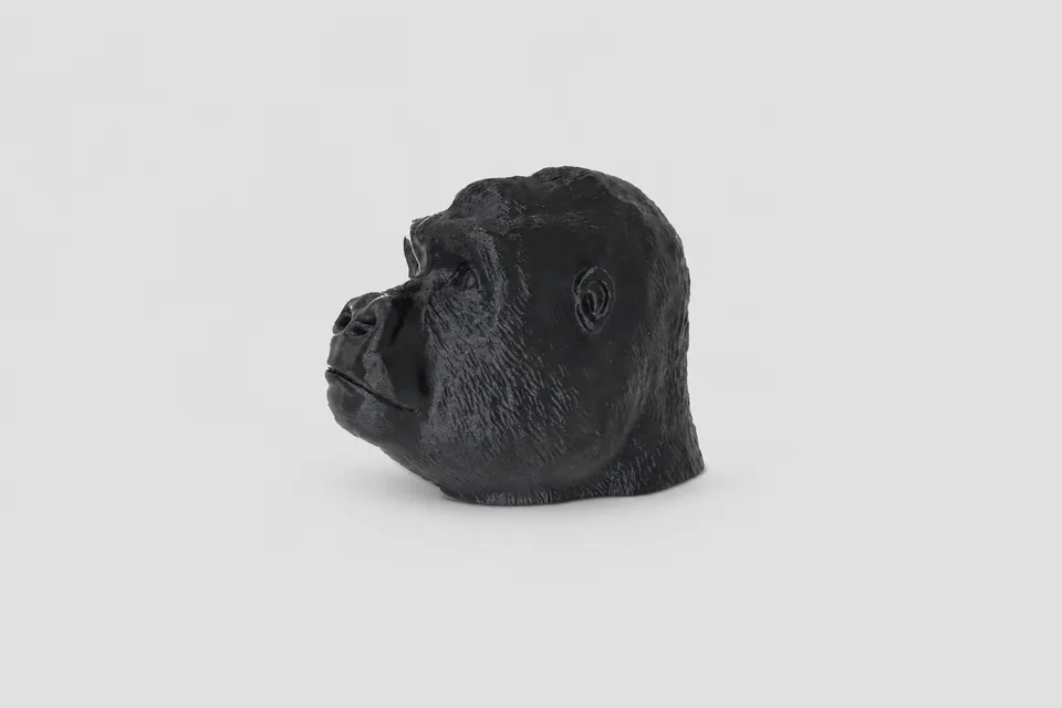 Gorilos galva – nuotrauka 2