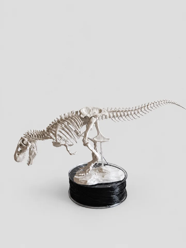 Dinozauro skeletas – nuotrauka 1